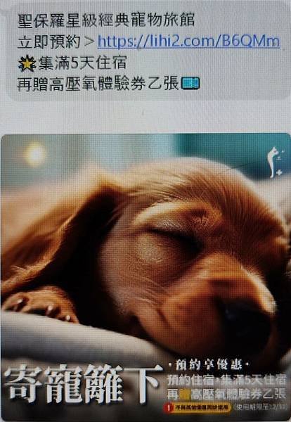 動物醫院與寵物美容節慶行銷活動規劃-品牌年度規劃行銷活動案例112.10-113.04 詹翔霖副教授…寵物業專任人員課程-經營實務：寵物業行銷1 (236).jpg