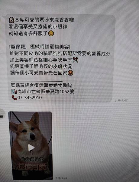 動物醫院與寵物美容節慶行銷活動規劃-品牌年度規劃行銷活動案例112.10-113.04 詹翔霖副教授…寵物業專任人員課程-經營實務：寵物業行銷1 (223).jpg