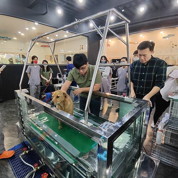 水中跑步機-寵物長照「寵物商機」寵物產業趨勢教材-詹翔霖副教授寵物經濟新藍海 (6).jpg