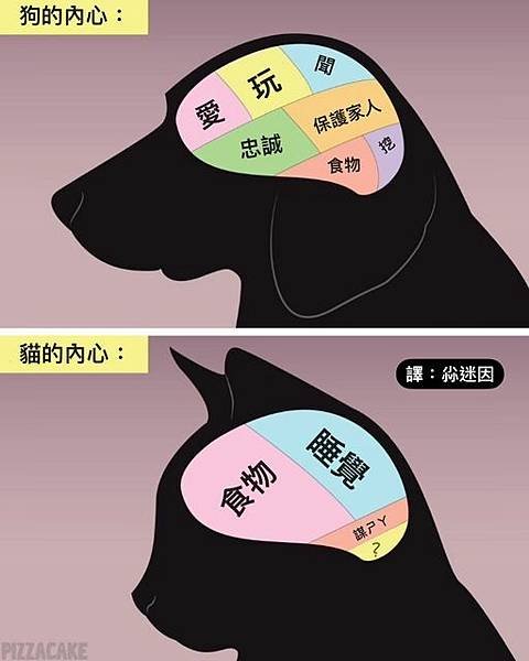 動物醫事助理資格訓練課程-溝通課程-人際溝通與傾聽技巧-圖檔詹翔霖副教授 (9).jpg