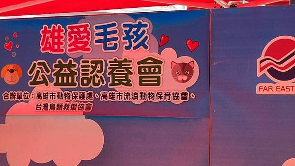 長照寵物技巧-獸醫診療機構行政與溝通實務「動物醫事助理」老齡動物關懷照養協會詹翔霖總幹事 (7).jpg