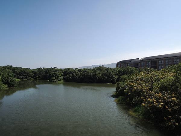 DSCN9703.JPG