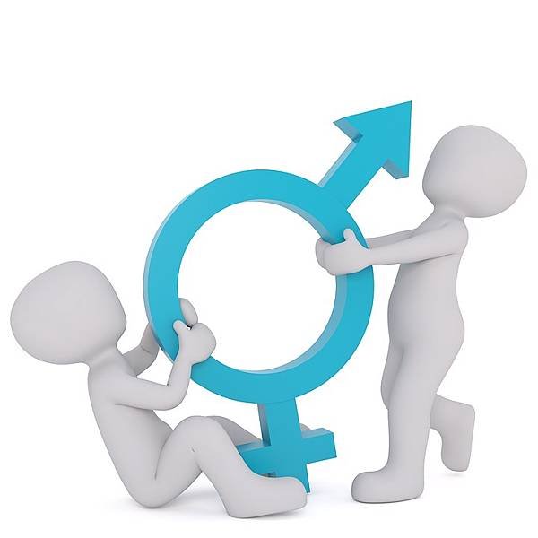 equality-2110563_960_720.jpg