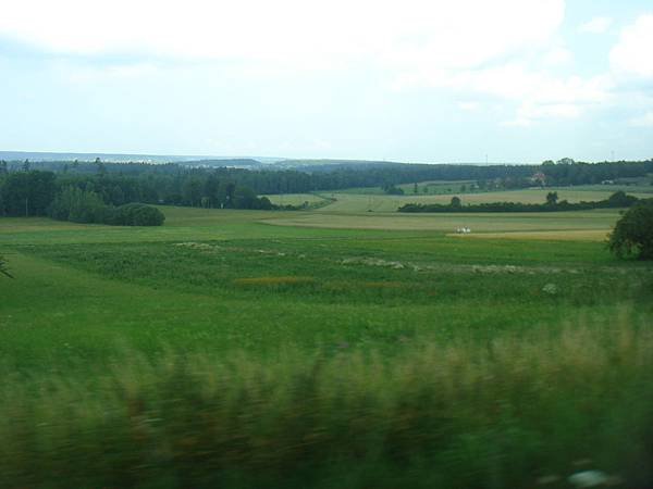 DSC00061
