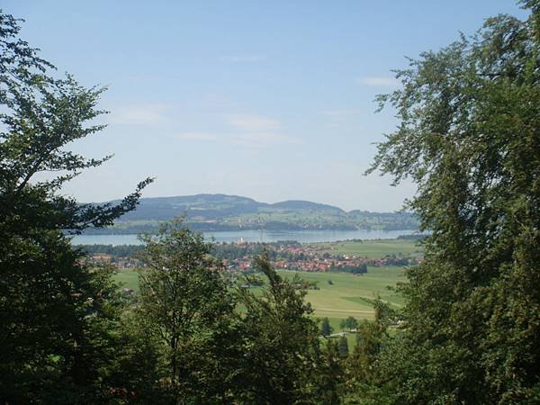 DSC04754