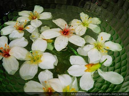 DSCN1271.JPG