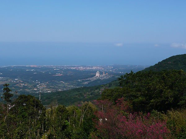 P1090653.JPG