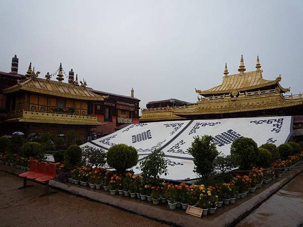 P1200501