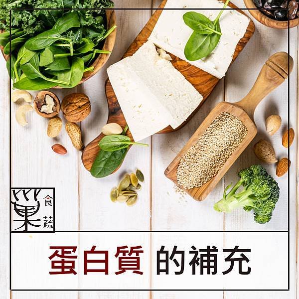 巢蔬食-蛋白質缺乏.jpg