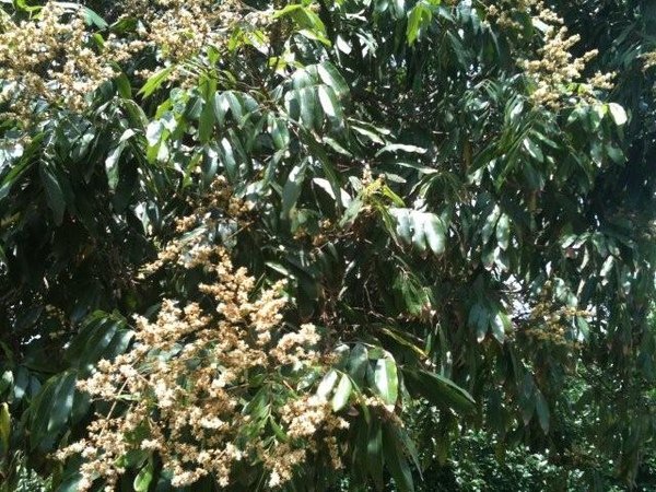 2010050105.jpg
