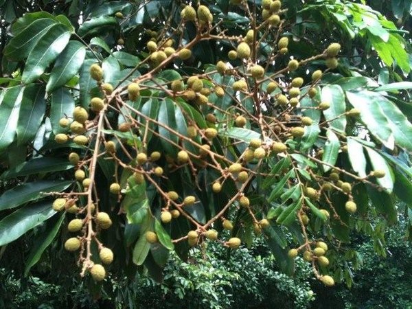 2010062601.jpg