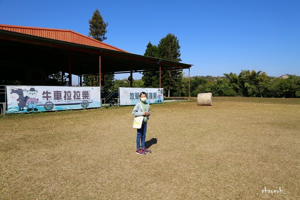 台南-走馬瀨農場~2023新春走馬瀨瀨祭《1/22初一~1/