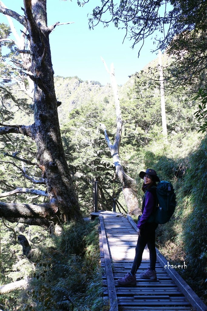 【百岳】玉山主峰 兩天一夜《第2次攻玉山的小6女兒陪我圓夢》