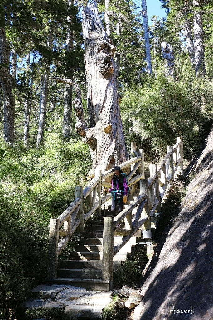 【百岳】玉山主峰 兩天一夜《第2次攻玉山的小6女兒陪我圓夢》