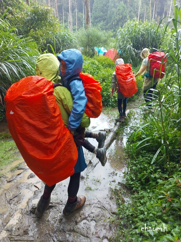 【登山 2天1夜】水漾森林➨鹿屈山➨鹿屈山前鋒  逆向O行縱