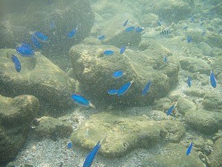 c075東海遊島.jpg