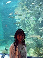 d037澎湖水族館.jpg