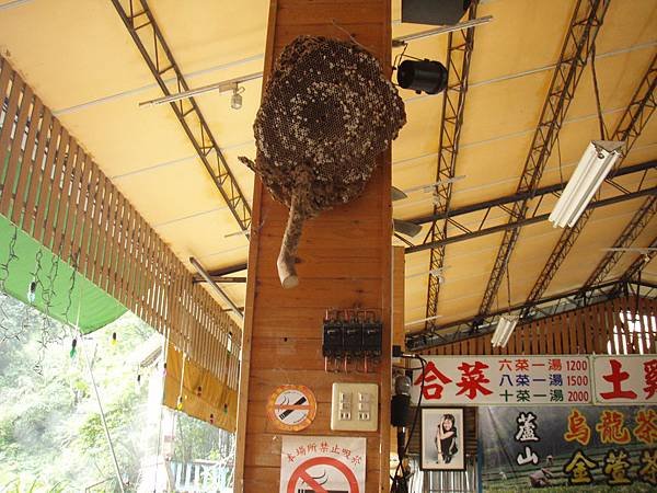 0427廬山溫泉蛋-23