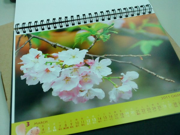 100月曆-06.JPG