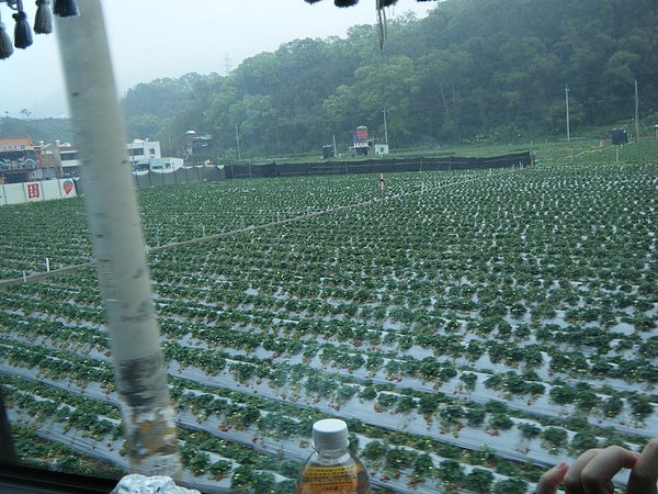 11&apos;0312苗栗-009.jpg