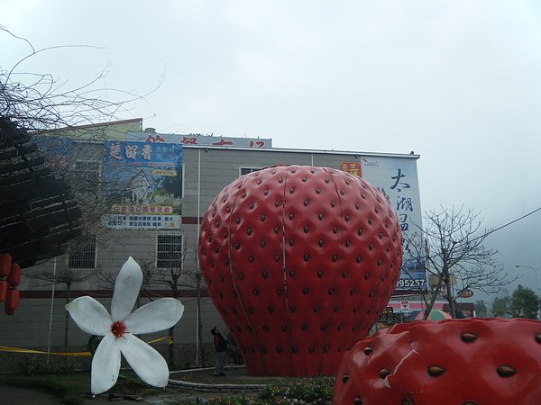 11&apos;0312苗栗-07.jpg