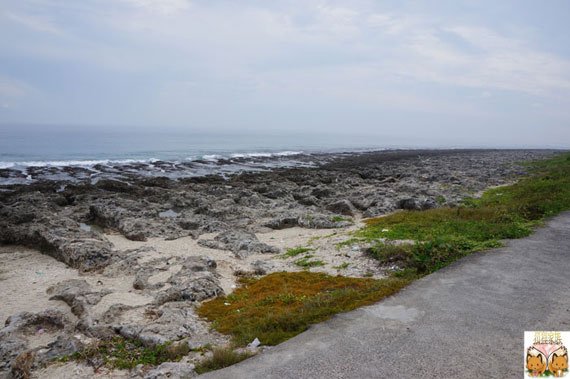 DSC01058.jpg
