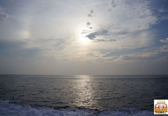 DSC01098.jpg