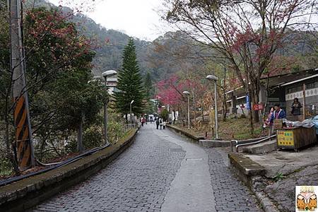 4536.jpg