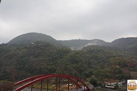6509.jpg