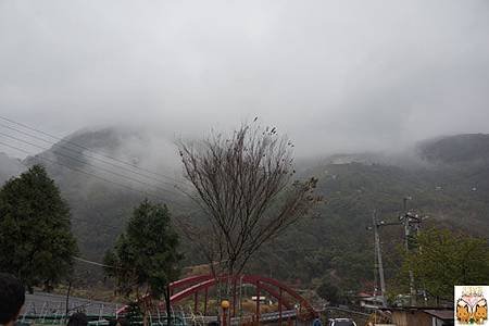 8030.jpg