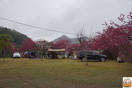 9014.jpg