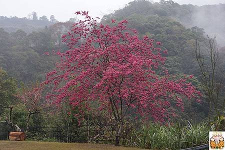 9032.jpg