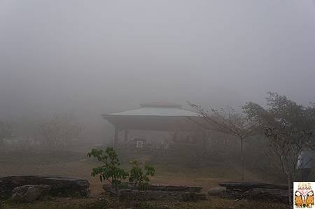 1012.jpg