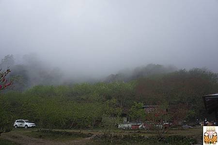 1043.jpg