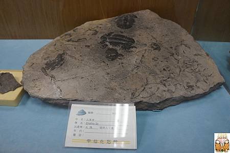 1046.jpg
