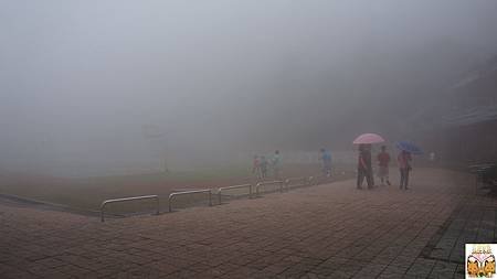2253.jpg