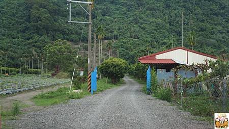 2329.jpg