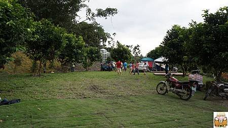 2363.jpg