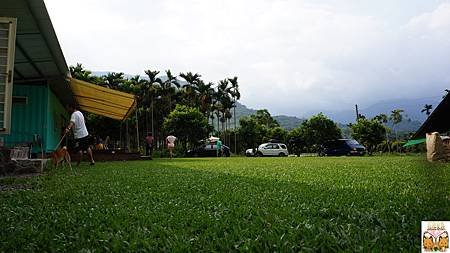 2385.jpg
