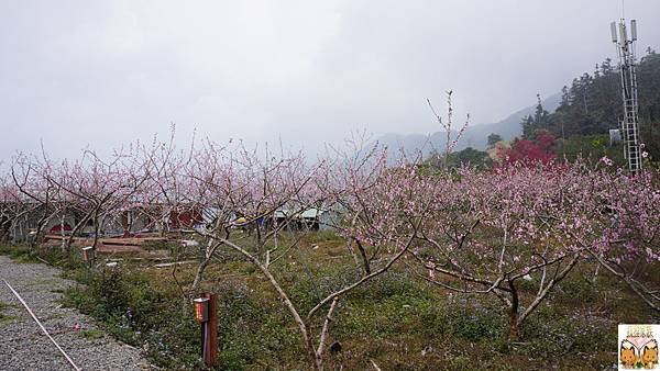 1090.jpg