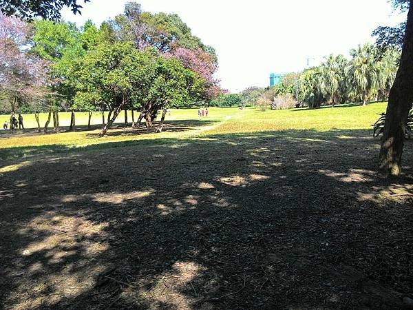 1002.jpg