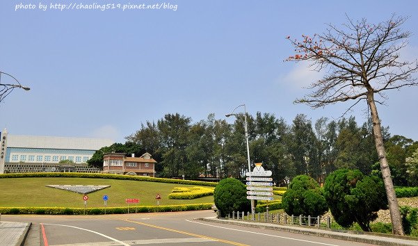 中央大學木棉道-7