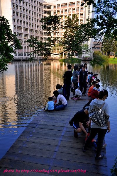 中央大學追流蘇-4.JPG