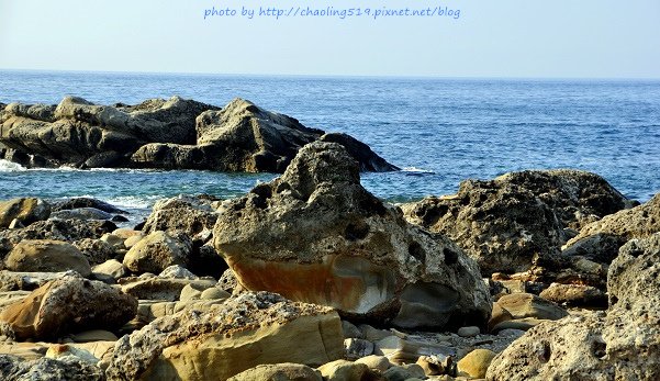 台東小野柳露營區-10.JPG