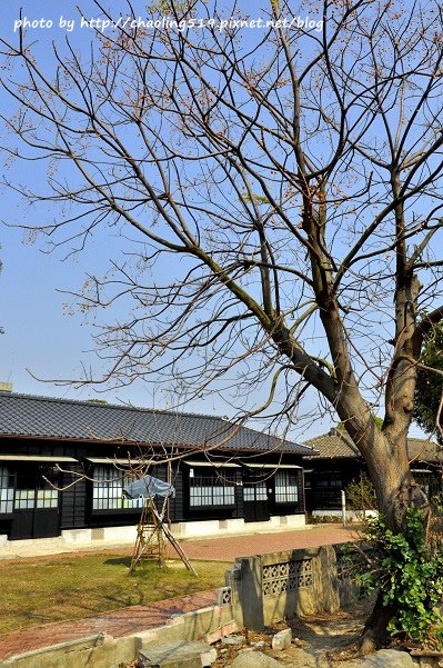 苑里 山腳國小-13.JPG