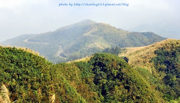 平溪五分山賞芒-5.JPG