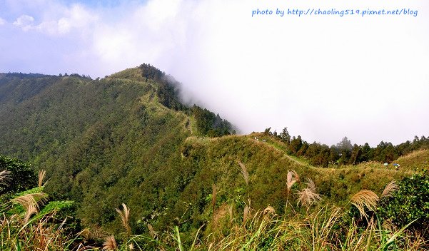 平溪五分山賞芒-9.JPG