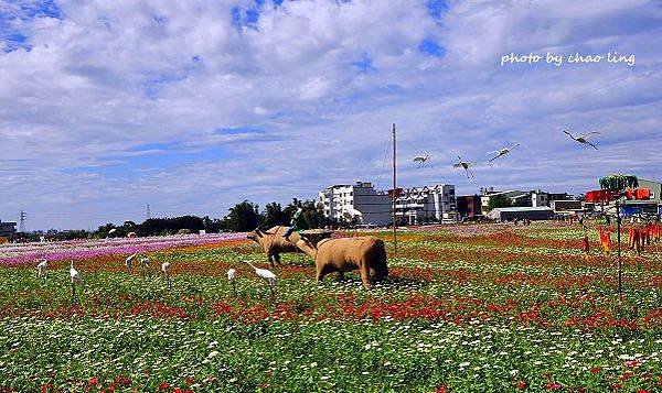 2016蘆竹花彩節-1.JPG