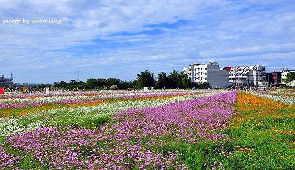 2016蘆竹花彩節-17.JPG