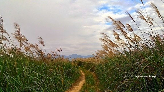 三角埔頂山-45.jpg